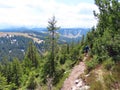 Trails for walking, hiking, sports and recreation on the slopes of the Pilatus mountain range, Alpnach - Switzerland