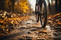 Trailside mountain bike flat tire emphasized through selective focus, adventure temporarily halted Royalty Free Stock Photo
