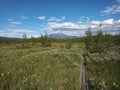 Trailway with boardwalk in Stordalen nature reserve in northern Sweden