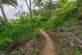 Trailway from havaizinho to Gamboa beach in the woods