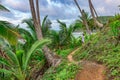 Trailway from havaizinho to Gamboa beach in the woods