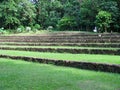 Trailway to the Forrest in La Mesa Ecopark