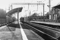 The train approaches the platform. Black and white photo