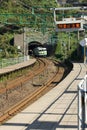 Train arriving at rural Japanese station.