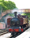 Steam engine train at Buckfastleigh Station Devon England 