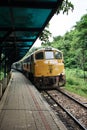 Train on Burma railway Royalty Free Stock Photo