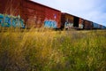 Train Cars with Colorful Graffiti