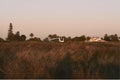 Train circulating during sunset in the province of Alicante in Spain