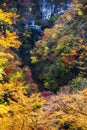 Train and Colourful Maple Trees on Hillside of Narugo Gorge, Fukushima, Japan in Autumn Royalty Free Stock Photo