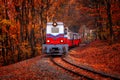 Train coming in the autumn forest