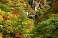 Train coming out from tunnel during autumn season in Naruko gorge