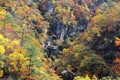 A train coming out of a tunnel onto the bridge over Naruko Gorge with colorful autumn foliage on vertical rocky cliffs, in Miyagi