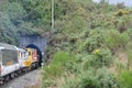 Train entering a tunnel Royalty Free Stock Photo