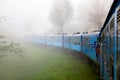 The train in the fog in the mountains of Sri Lanka. Surroundings Nuwara Eliya.