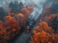 Train in forest in fog at sunrise. Aerial view of Colorful landscape with railroad Royalty Free Stock Photo