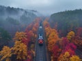 Train in forest in fog at sunrise. Aerial view of Colorful landscape with railroad Royalty Free Stock Photo