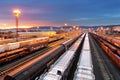 Train freight - Cargo railroad industry Royalty Free Stock Photo