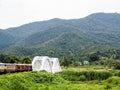 Train going over a bridge and green fields in Chiang Mai