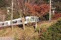 The train of JR sagano line on the Railroad tracks with autumn view. Royalty Free Stock Photo