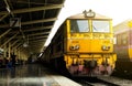Train led by Old yellow Diesel Electric locomotives. Royalty Free Stock Photo