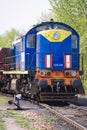 Train locomotive TEM2-065 Royalty Free Stock Photo