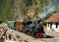 Train in Maramures forest