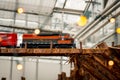 Train model running through a train display in a greenhouse