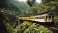 train in the mountains A getaway train that cruises through a lush rainforest. The train is white and yellow,