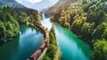 A train moves through a dense green forest filled with tall trees and lush foliage Royalty Free Stock Photo