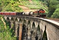 Train on Nine Arches Demodara Bridge Royalty Free Stock Photo