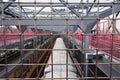 Train over williamsburg bridge Royalty Free Stock Photo