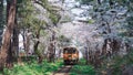 The train passes near the cherry blossom