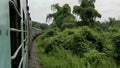 Train passing through forest 2