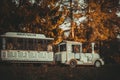 The train in Pavlovsk park