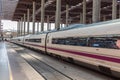 Train at the platform of Madrid Atocha, the main railway station in the city, Spain.