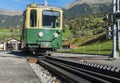 Train and Rack-Railway in Grindelwald