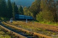 Train on railroad tracks in the forest