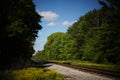 Train railroad tracks lead into a forest.