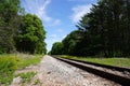 Train railroad tracks lead into a forest