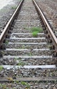 Train rails of an abandoned track Royalty Free Stock Photo
