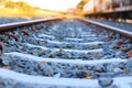 The train rails in the morning when the sun shines.