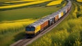 train on the railway cargo train that transports different products along the rails. The train is lengthy and diverse,