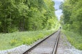 Train on railway in green forest between trees Royalty Free Stock Photo