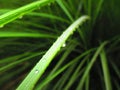 Train raindrops