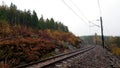 Train road in the forest