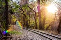 Railways trains pass through a tunnel in the forest. Railways in the forest Royalty Free Stock Photo