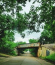 Train road street trees railroad track