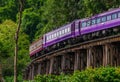 The train run trough Tham krasae bride railway.