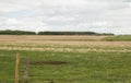 Train in rural farming landscape