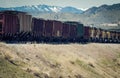 Train Shipping Grain Pulled by Union Pacific Locomotives Royalty Free Stock Photo